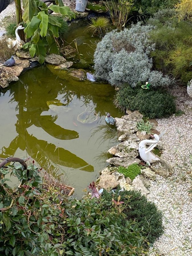 La Maison Du Bonheur Saintry-sur-Seine Ngoại thất bức ảnh