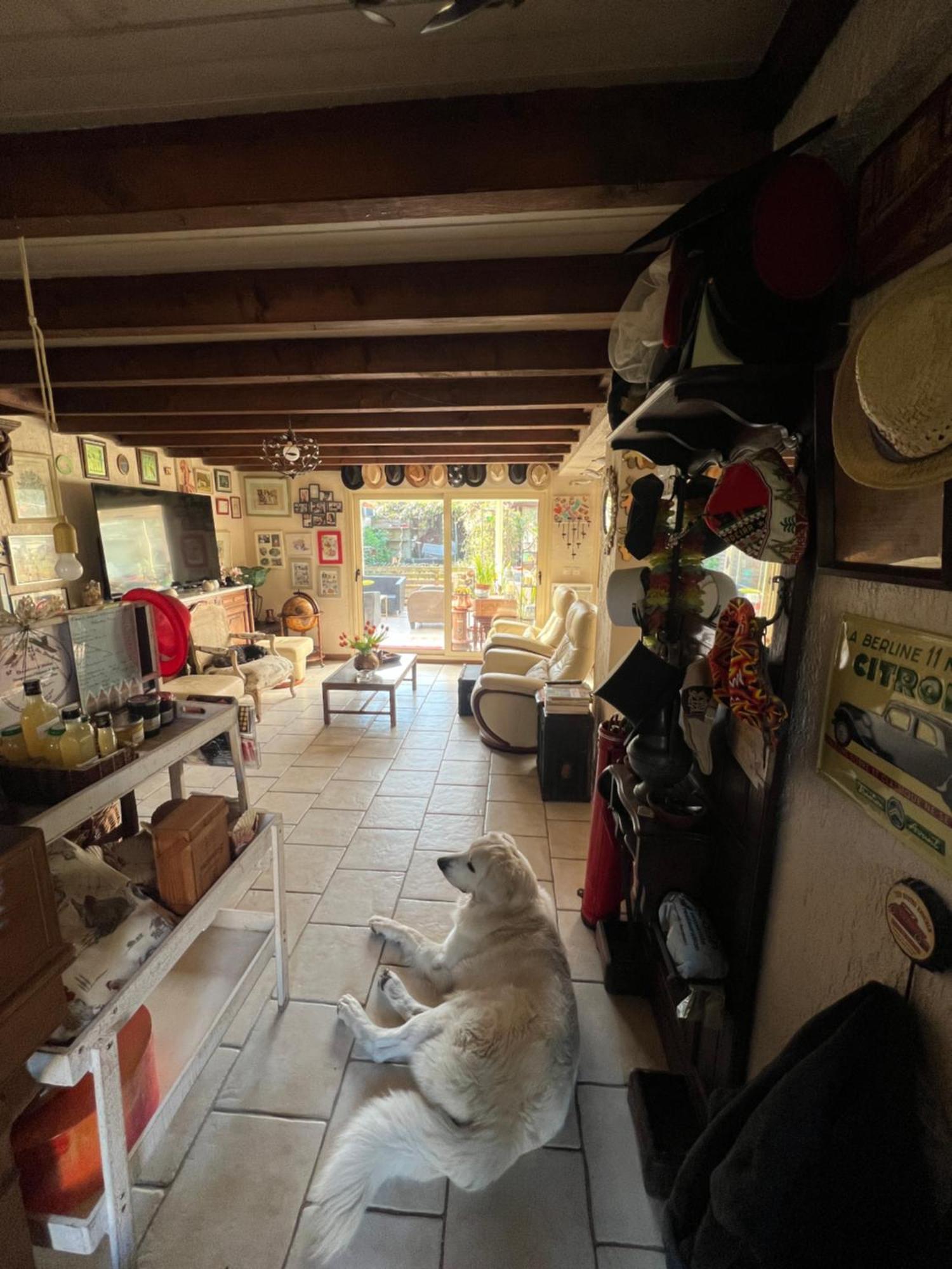 La Maison Du Bonheur Saintry-sur-Seine Ngoại thất bức ảnh